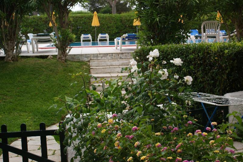 Hamilton Court Santo Tomas